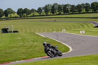 Middle Group Black Bikes